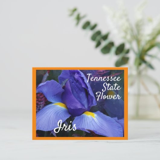 Tennessee State Flower TN Iris Briefkaart (Staand voorkant)