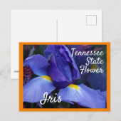 Tennessee State Flower TN Iris Briefkaart (Voorkant / Achterkant)