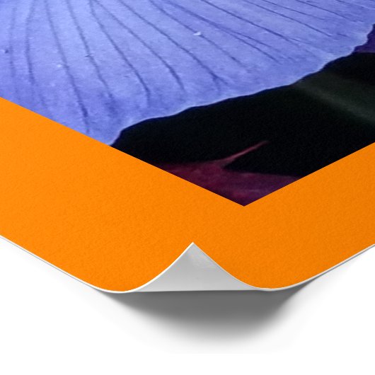 Tennessee State Flower TN Iris Poster (Hoek)