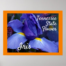 Tennessee State Flower TN Iris Poster