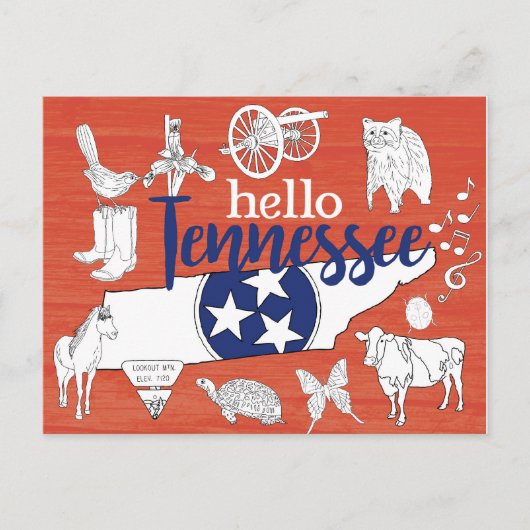 Tennessee State Symbols Volunteer State Afbeelding Briefkaart (Voorkant)