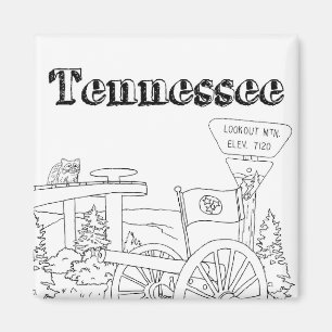 Tennessee State Symbols Volunteer State Afbeelding Magneet