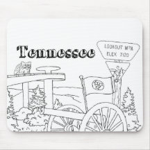 Tennessee State Symbols Volunteer State Afbeelding