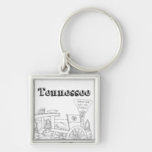 Tennessee State Symbols Volunteer State Afbeelding Sleutelhanger (Voorkant)