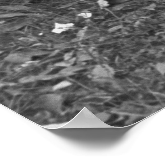 Tennessee Street Musicians, 1935 Poster (Hoek)