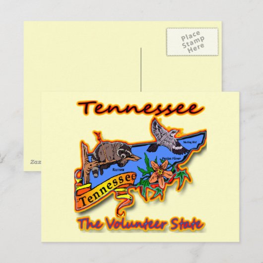 Tennessee the Volunter State Racon Flower Bird B Briefkaart (Voorkant / Achterkant)