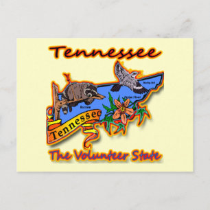 Tennessee the Volunter State Racon Flower Bird B Briefkaart