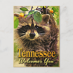 Tennessee verwelkomt You Raccoon Briefkaart