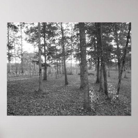 Tennessee Vineyard Poster (Voorkant)