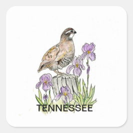 Tennessee-vogelbloem Vierkante Sticker