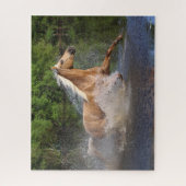 Tennessee Walker die door water loopt Legpuzzel (Verticaal)