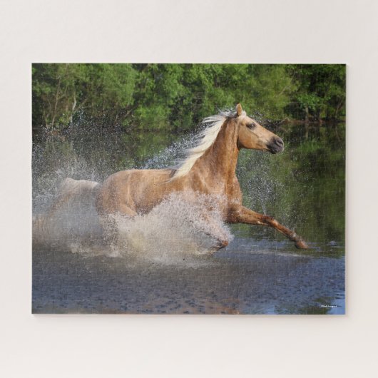 Tennessee Walker die door water loopt Legpuzzel (Horizontaal)