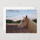 Tennessee Walking Horse Briefkaart (Voorkant / Achterkant)