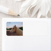 Tennessee Walking Horse Etiket (Insitu)