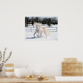 Tennessee Walking Horse in Snow Poster (Keuken)
