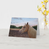Tennessee Walking Horse Kaart (Gele Bloem)
