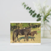 Tennessee Walking Horse Mare and Foal Briefkaart (Staand voorkant)