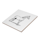 Tennessee Walking Horse - Standing Tegeltje (Zijkant)
