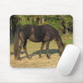 Tennessee Walse Horse Mare muispad Muismat (Met muis)