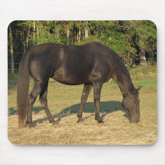 Tennessee Walse Horse Mare muispad Muismat (Voorkant)