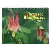 Tennessee Wildbloemen 2013 Kalender (Hoes)