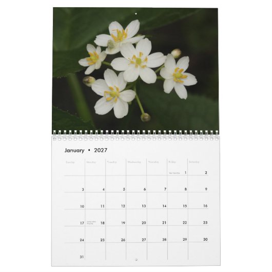 Tennessee Wildbloemen 2013 Kalender (Jan 2027)