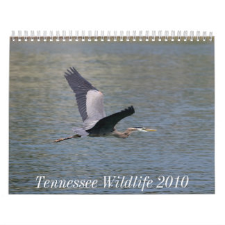 Tennessee Wildlife 2010 Kalender