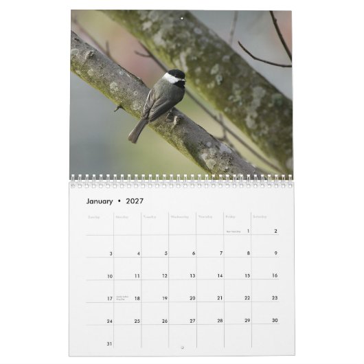 Tennessee Wildlife 2010 Kalender (Jan 2027)