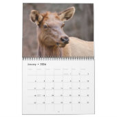 Tennessee Wildlife 2026 - 12 month calendar Kalender (Jan 2026)