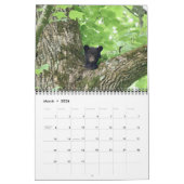 Tennessee Wildlife 2026 - 12 month calendar Kalender (Mar 2026)