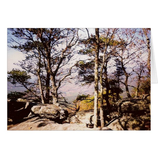 Tennessee Wilds (Voorkant Horizontaal)