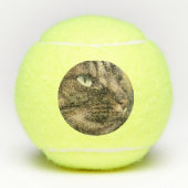 Tennis Ball voor de hond Tennisballen (Voorkant)