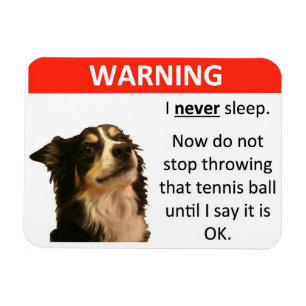 Tennis Ball Warning (Border Collie) Magneet