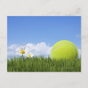 Tennis Balls Briefkaart