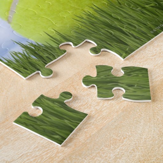 Tennis Balls Legpuzzel (Zijkant)