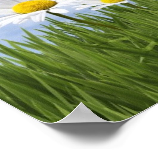 Tennis Balls Poster (Hoek)