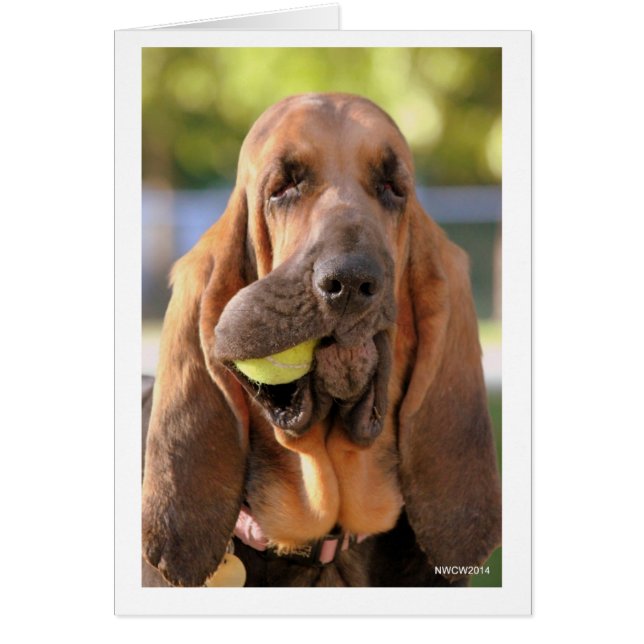 Tennis, iemand? (Voorkant)