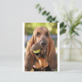 Tennis, iemand? briefkaart (Staand voorkant)