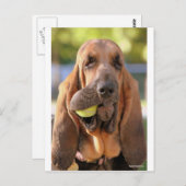 Tennis, iemand? briefkaart (Voorkant / Achterkant)