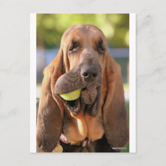 Tennis, iemand? briefkaart