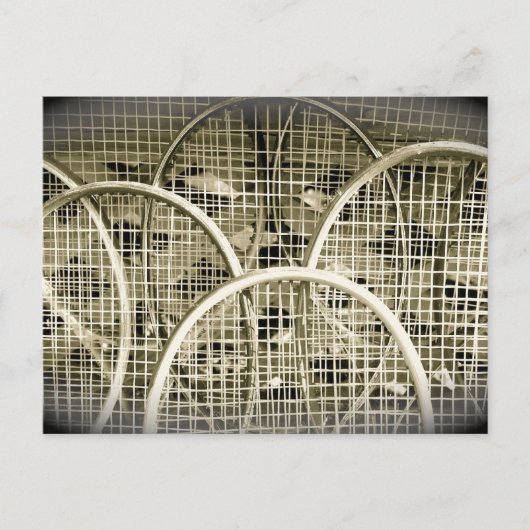 Tennis Iemand? Briefkaart (Voorkant)