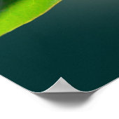 Tennis Magnolia, tennis Poster (Hoek)