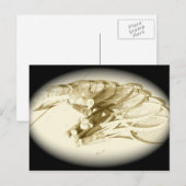 TENNIS RACKETS BRIEFKAART (Voorkant / Achterkant)