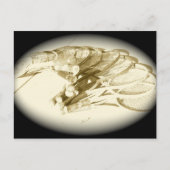 TENNIS RACKETS BRIEFKAART (Voorkant)