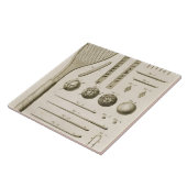 Tennis Racquets en Billiard Cues van de "Encyc" Tegeltje (Zijkant)