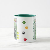 Tennis Tabby Cats Bud & Tony Mok (Midden)