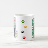 Tennis Tabby Cats Bud & Tony Mok (Center)