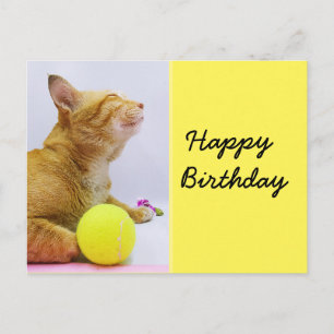 Tennis-verjaardagskaart met gember kat en bal briefkaart