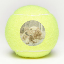 Tennisbal met afbeelding van golden retriever tennisballen