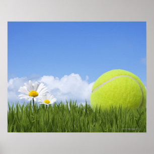 Tennisballen Poster